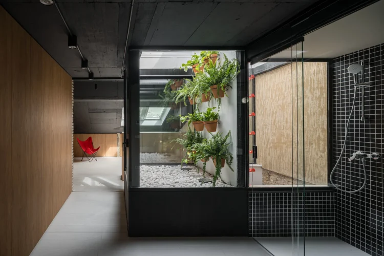 Interior iluminado con lucernario en el edificio rehabilitado en el centro de Pamplona